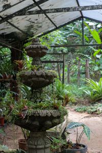 Botanischer Garten Puerto Vallarta