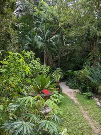 Botanischer Garten Puerto Vallarta